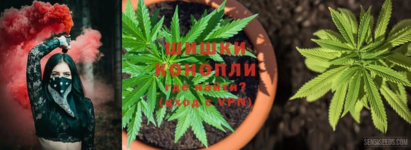 гидра Балабаново