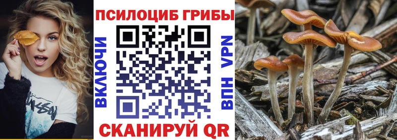 Псилоцибиновые грибы Psilocybe наркотики Калининец