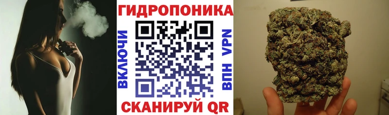 kraken как войти  Калининец  Бошки Шишки LSD WEED 